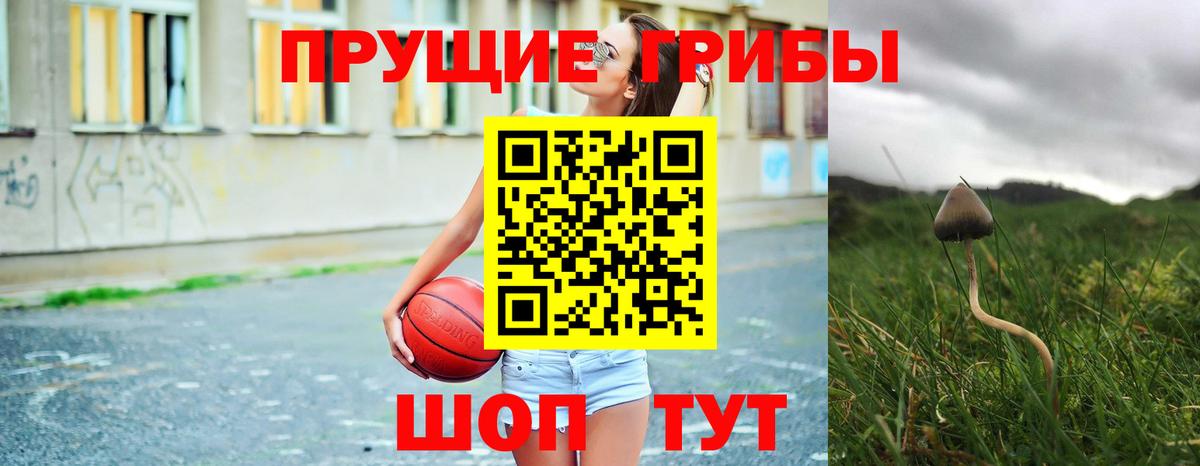Псилоцибиновые грибы MAGIC MUSHROOMS  Вход с VPN  Сочи 